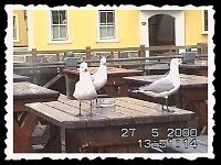 Foto 051